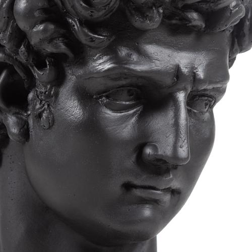  DAVİD SİYAH BÜST BİBLO