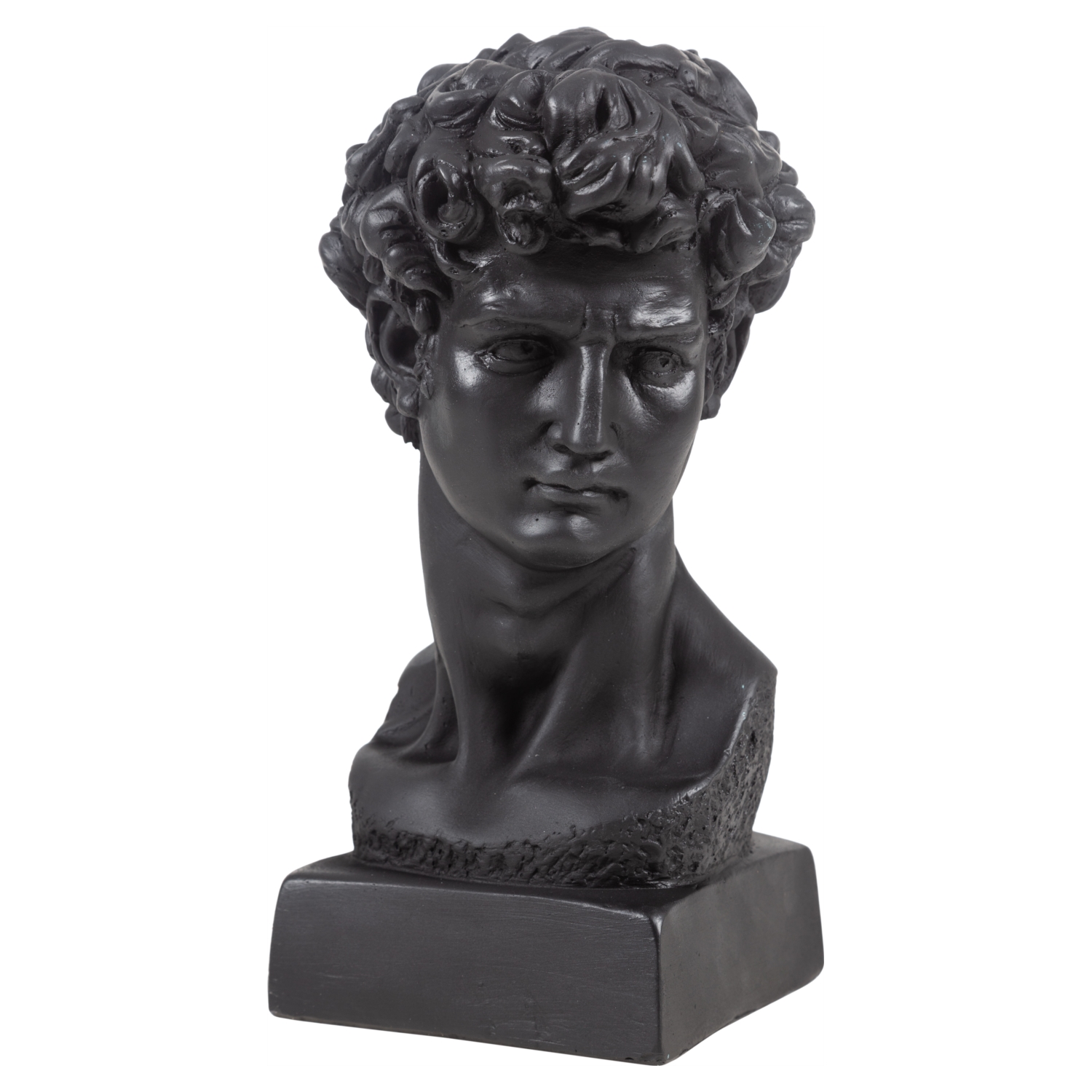 DAVİD SİYAH BÜST BİBLO