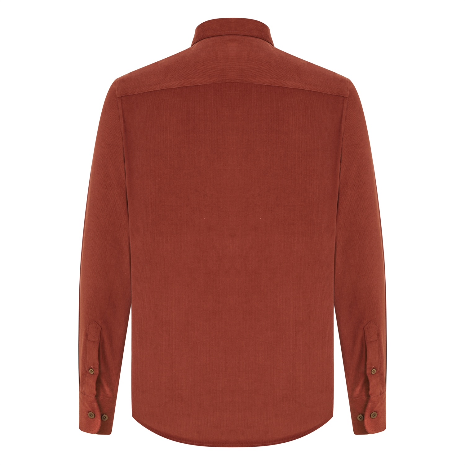 REGULAR PAMUK GÖMLEK