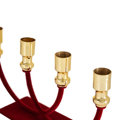  CAMELIA RED ŞAMDAN 12,5CM