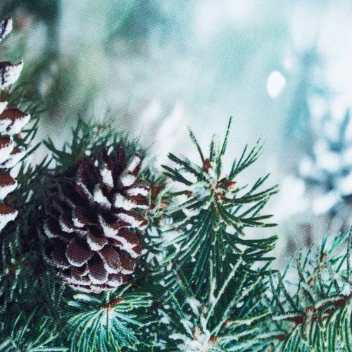  KOZALAK KIRLENT 45X45