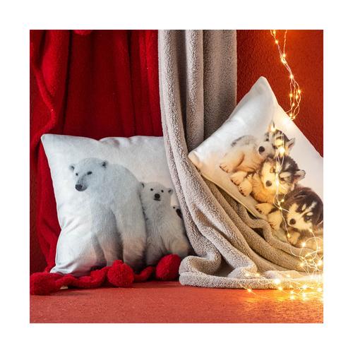  KUTUP AYISI KIRLENT 45X45