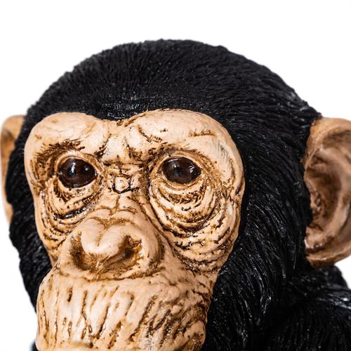  MONKEY SİYAH BİBLO 30X30X33CM