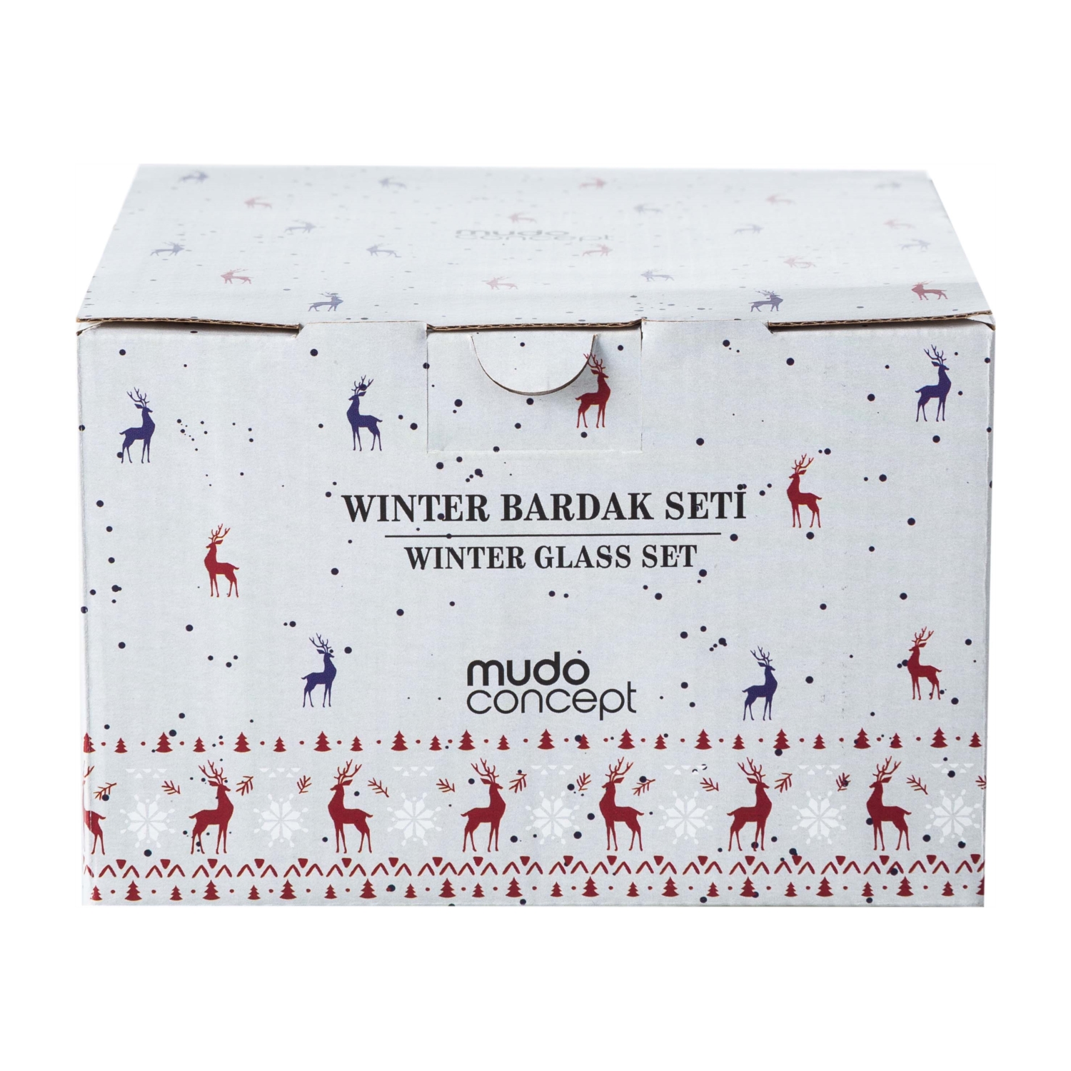 WINTER BARDAK SETİ 4LÜ -250 ML