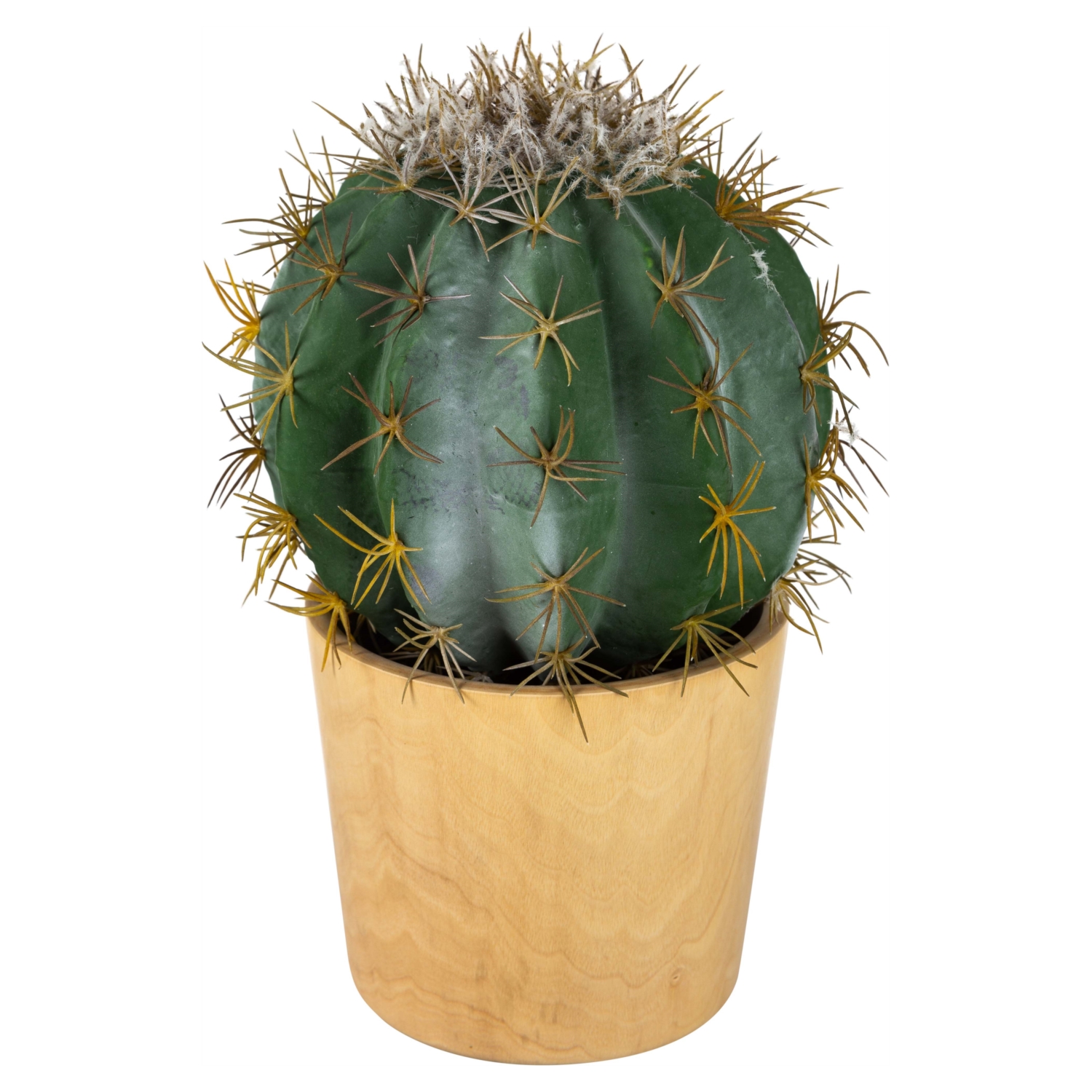 SAKSILI BİTKİ 29CM