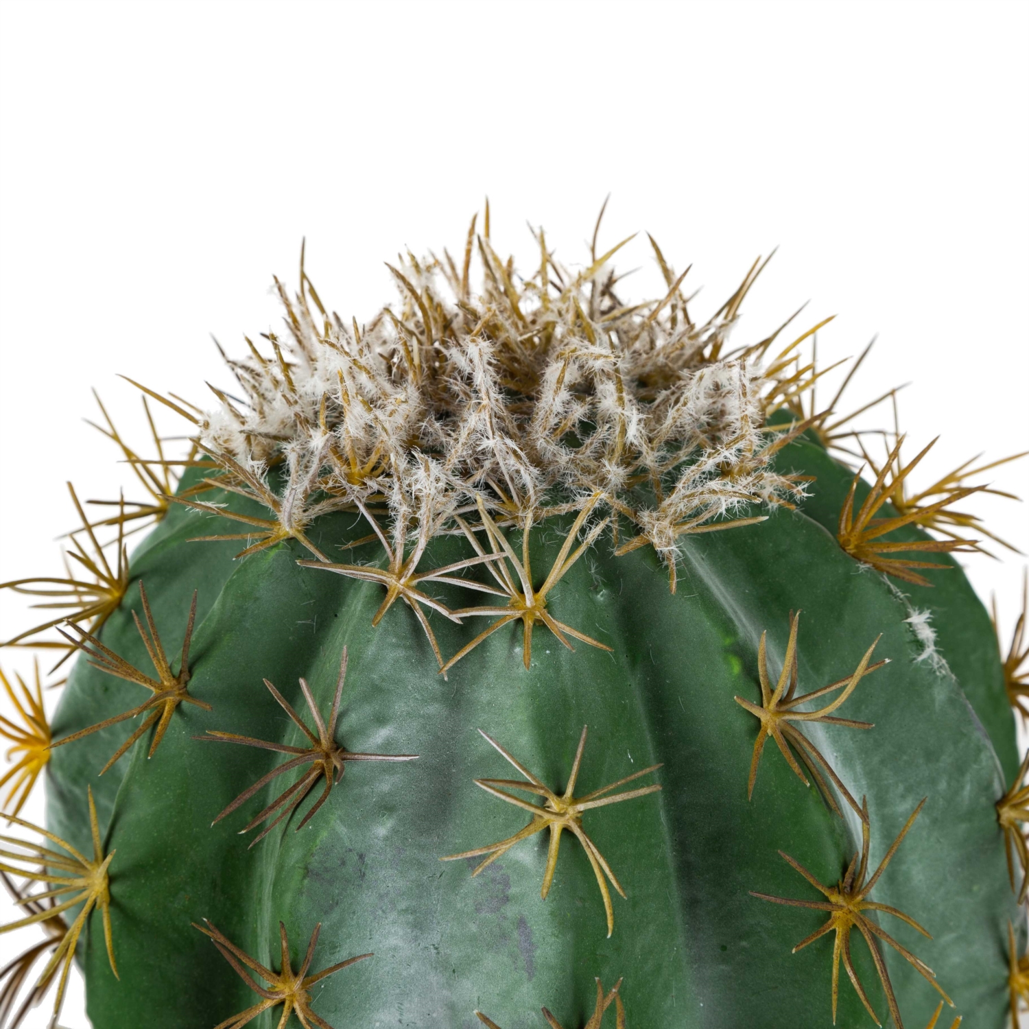 SAKSILI BİTKİ 29CM