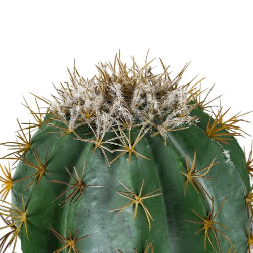  SAKSILI BİTKİ 29CM