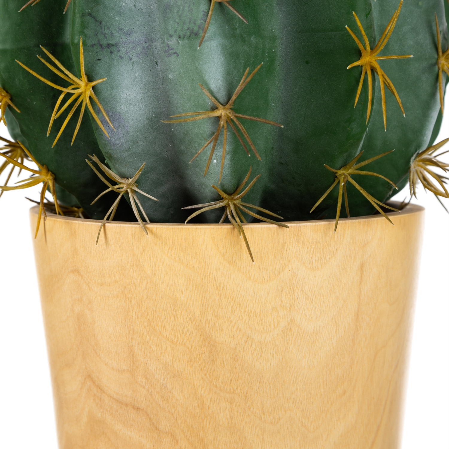 SAKSILI BİTKİ 29CM