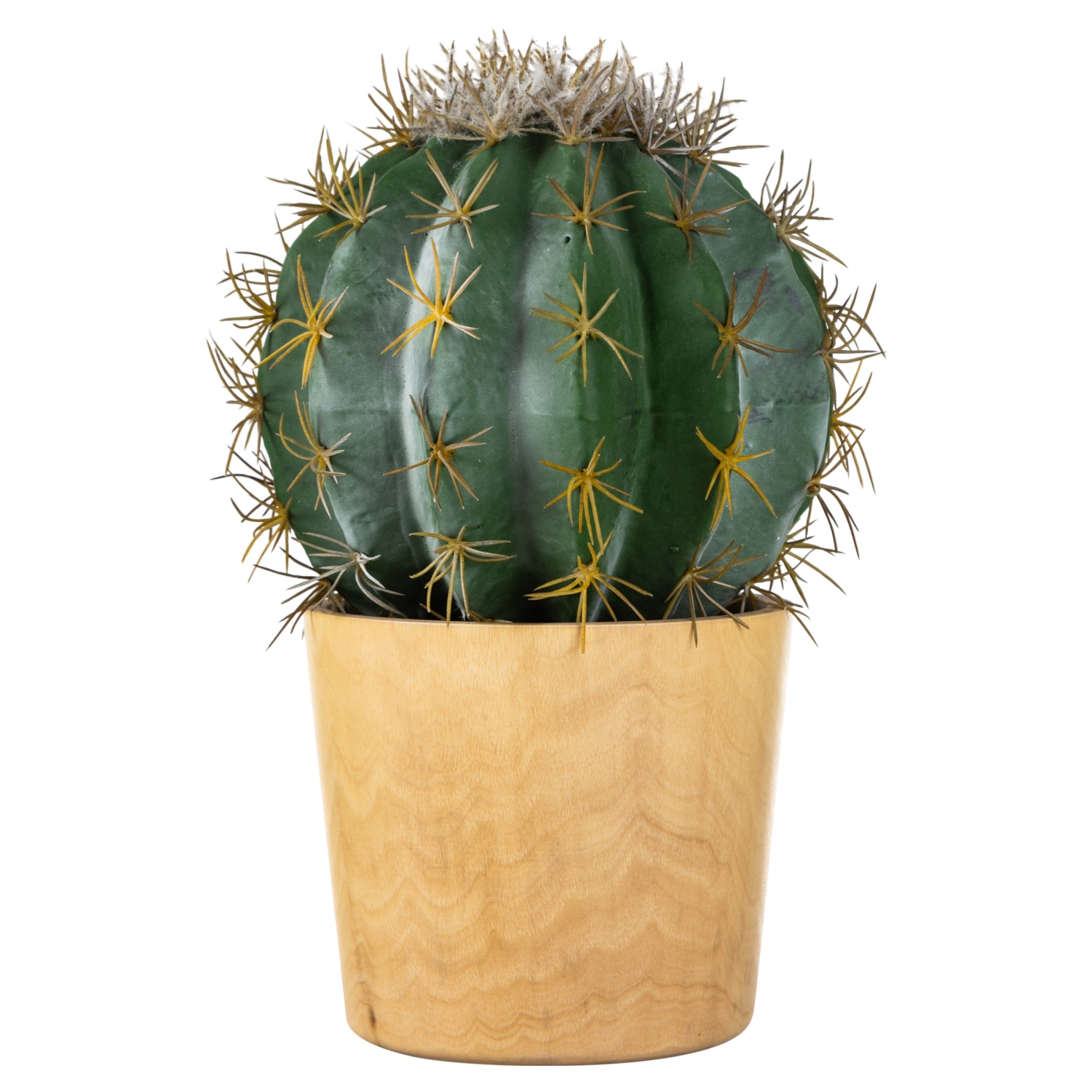 SAKSILI BİTKİ 29CM