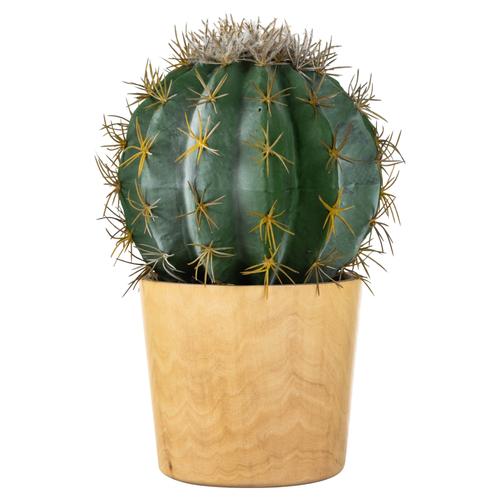  SAKSILI BİTKİ 29CM