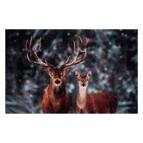  SALVADOR DEER CAM TABLO 70X110CM