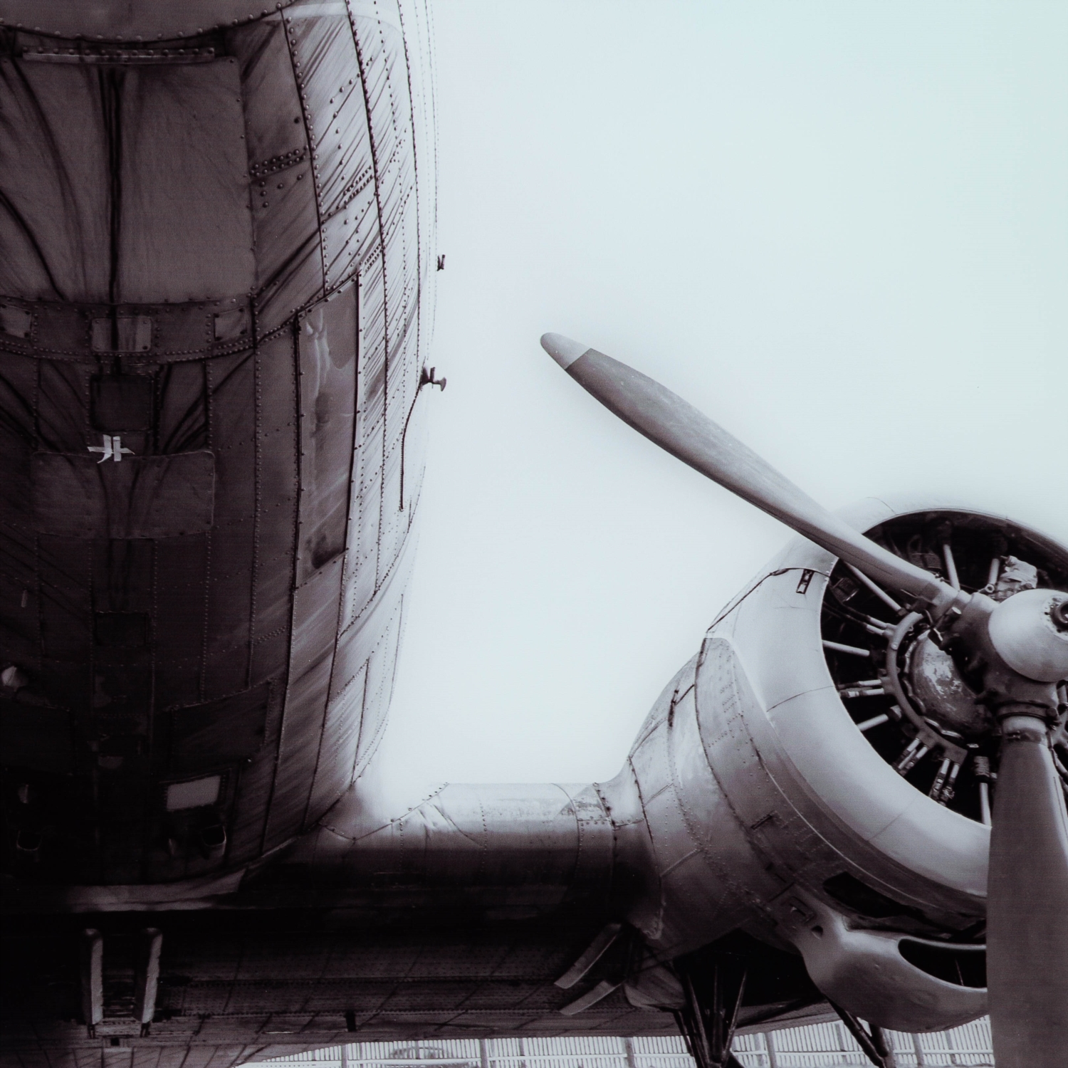 PEDRO PLANE CAM TABLO 70X110CM