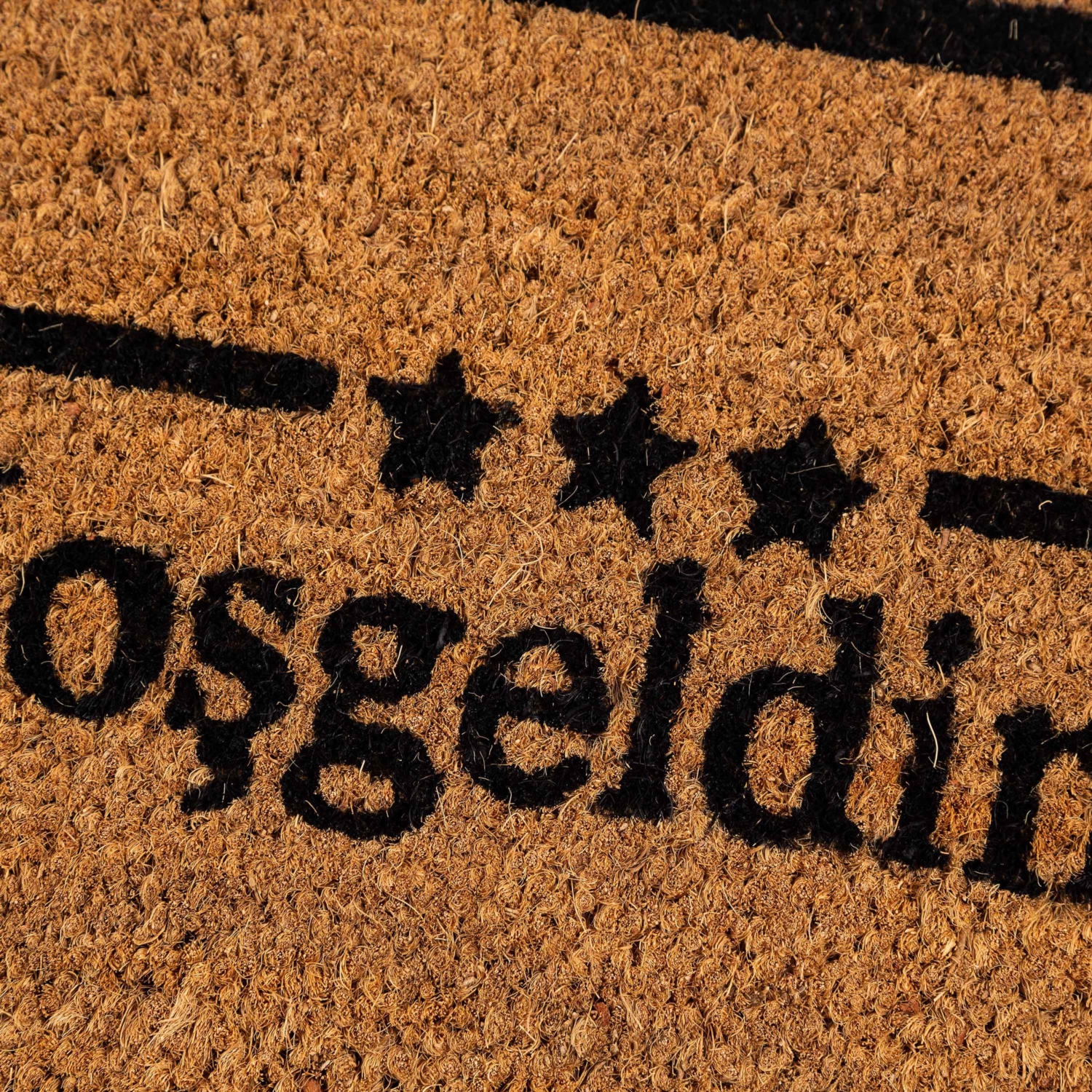 WELCOME BLACK LINE KAPI ÖNÜ PASPASI 33X55CM