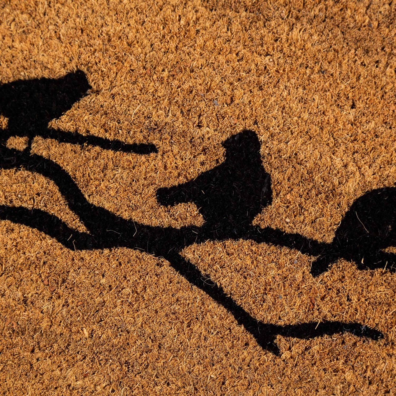 BIRD KOKO KAPI ÖNÜ PASPASI 35X60CM