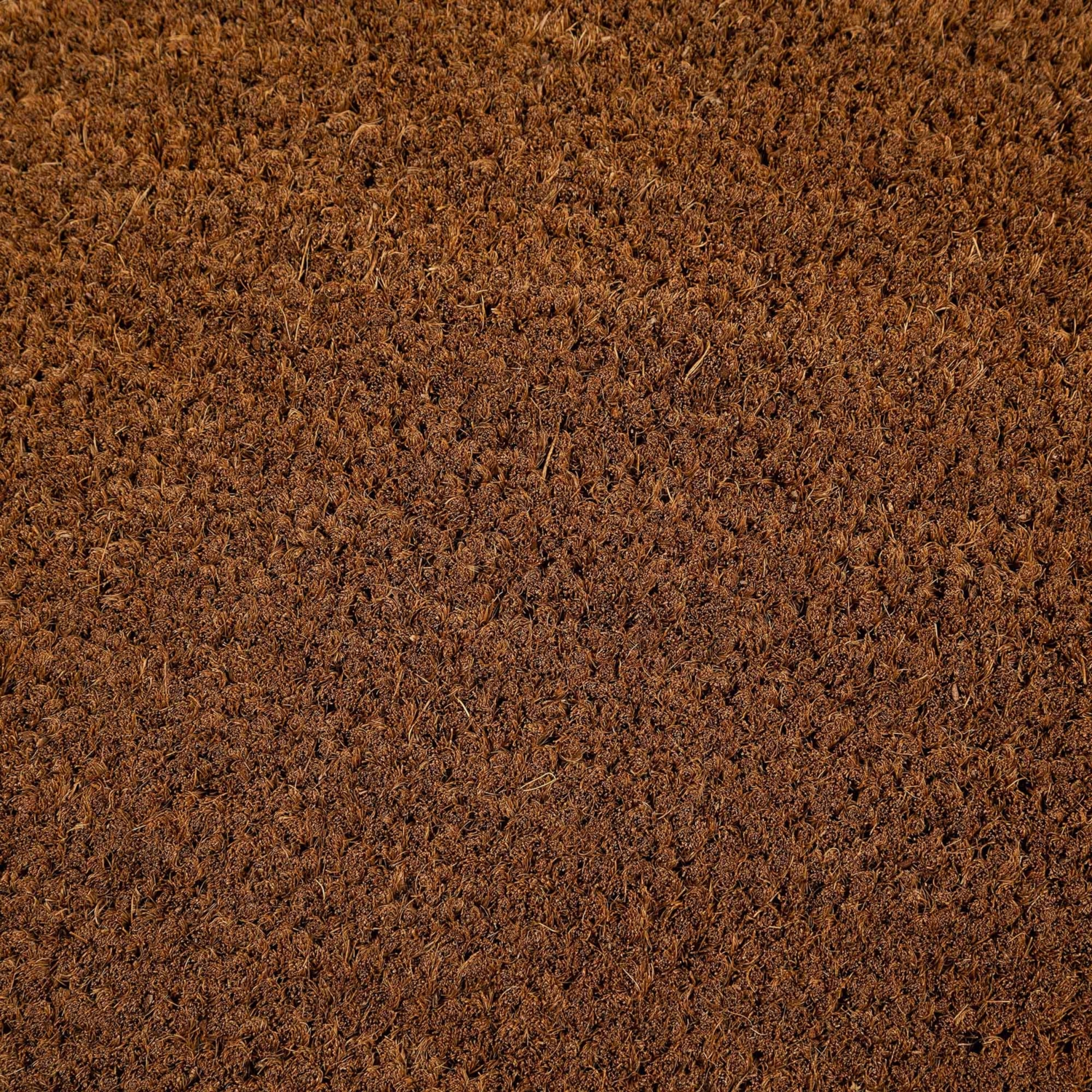 PLAIN KOKO KAPI ÖNÜ PASPASI 40X60CM