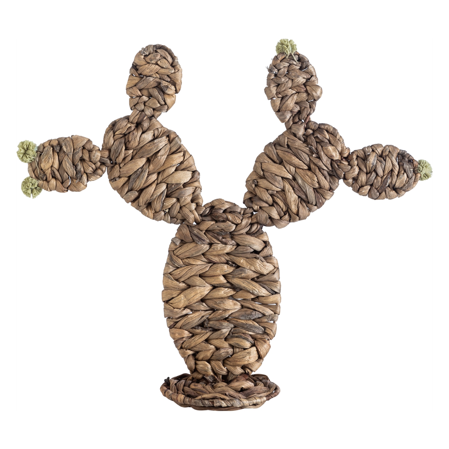 HASIR KAKTÜS 43X41CM