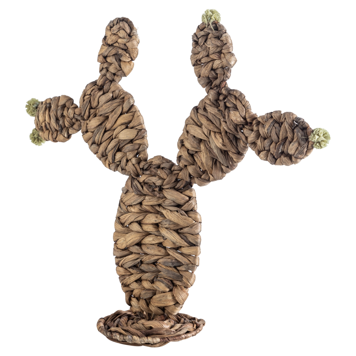 HASIR KAKTÜS 43X41CM