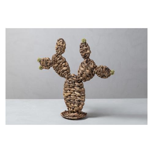  HASIR KAKTÜS 43X41CM