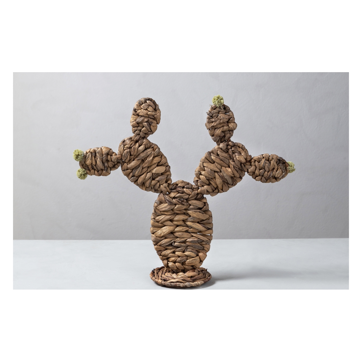 HASIR KAKTÜS 43X41CM