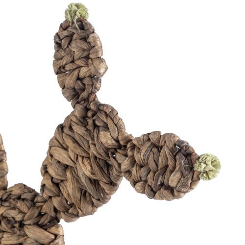  HASIR KAKTÜS 43X41CM