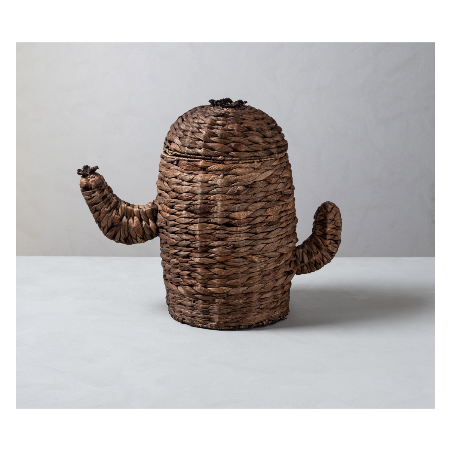 KAKTÜS HASIR KAPAKLI SEPET 52X43CM