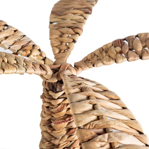  HASIR PALMİYE 55X34CM