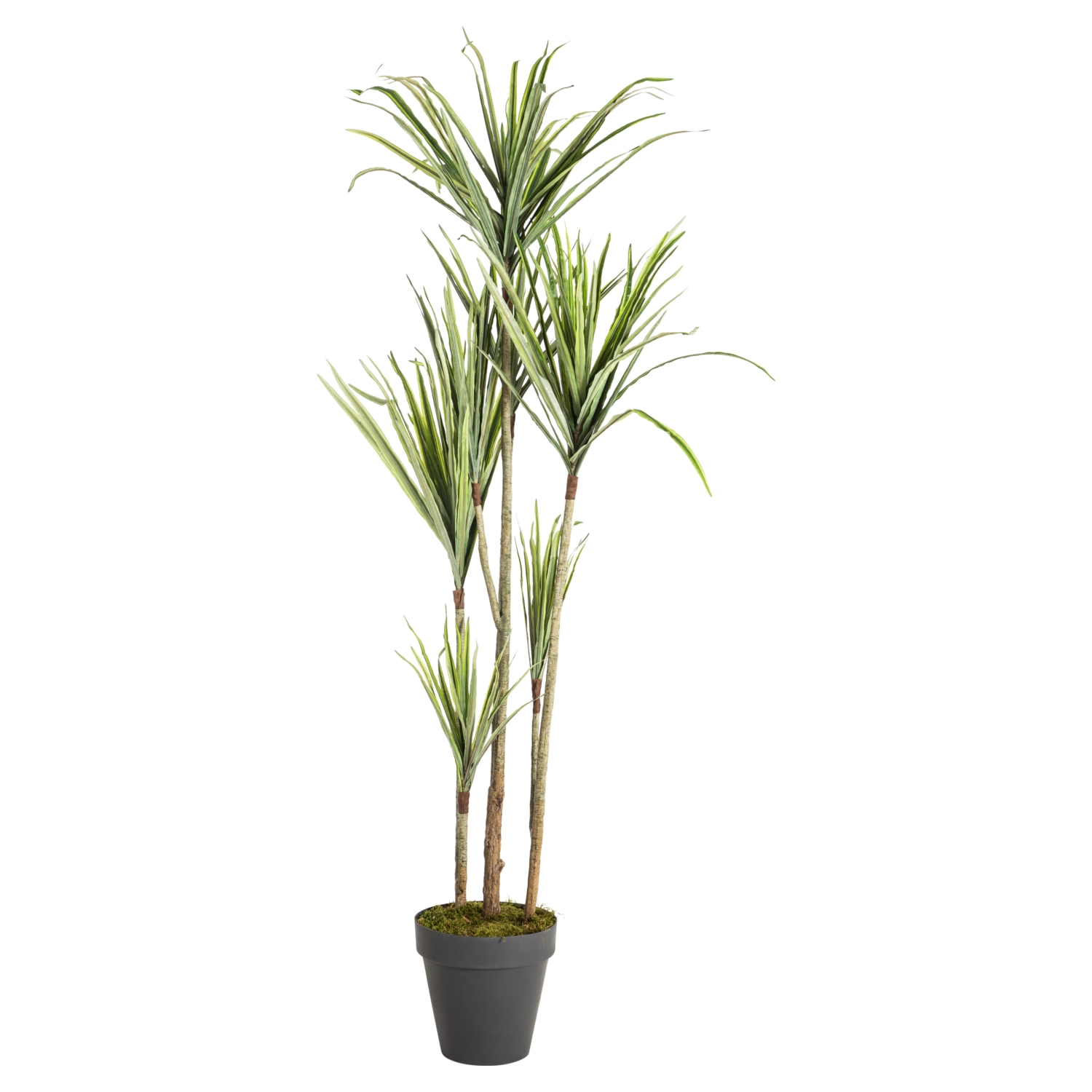 MILENYUM AĞACI 190 CM