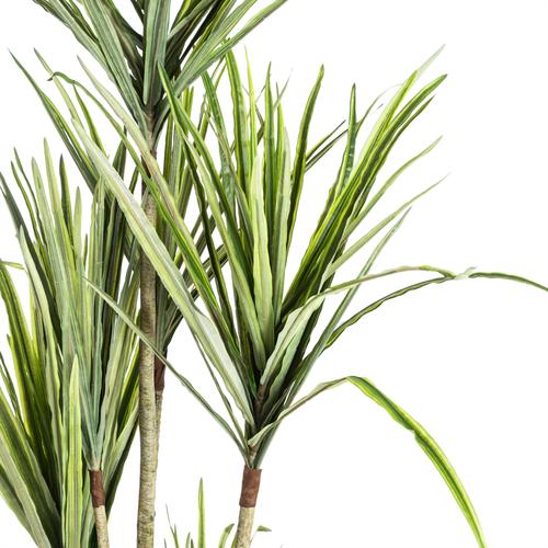  MILENYUM AĞACI 190 CM