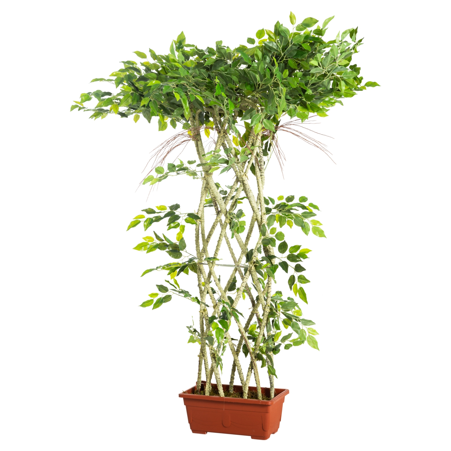 BANYAN AĞACI ÖRGÜLÜ 130 CM