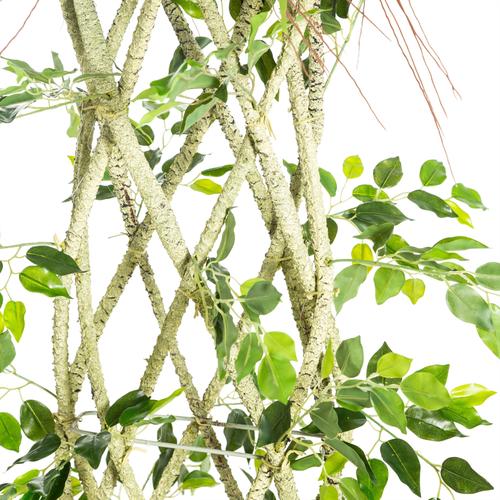  BANYAN AĞACI ÖRGÜLÜ 130 CM