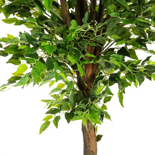  YEŞİL BANYAN AĞACI 170 CM