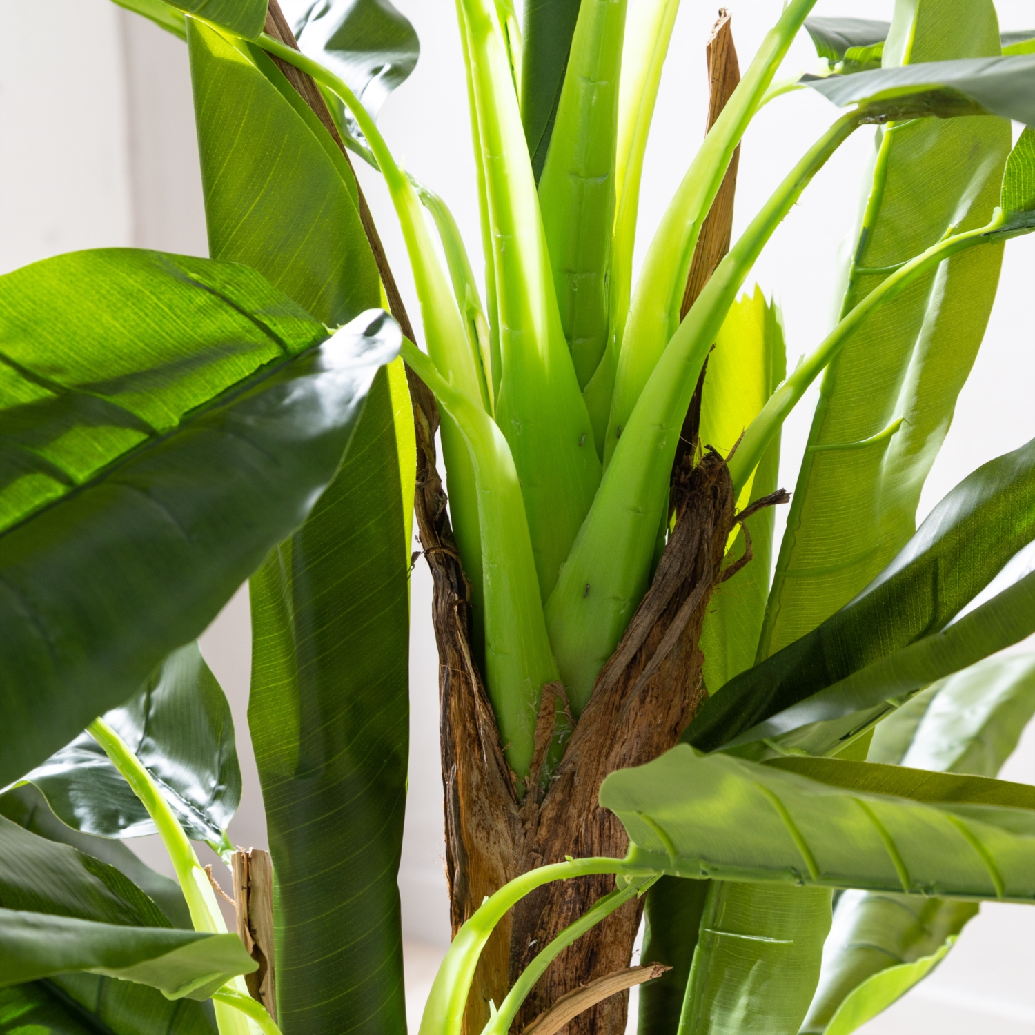 4 KUTUPLU MUZ AĞACI 190 CM