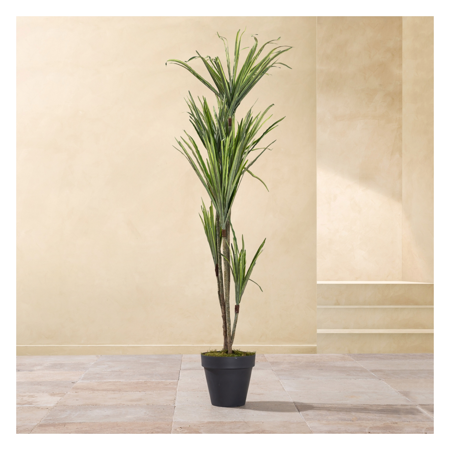 MILENYUM AĞACI 190 CM