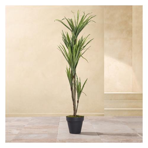  MILENYUM AĞACI 190 CM