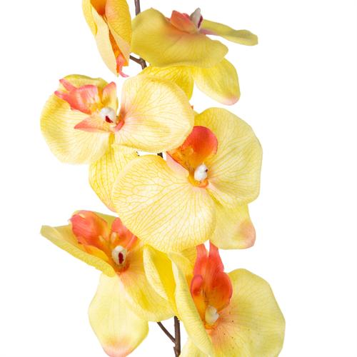  SARI ORKİDE DAL ÇİÇEK 76 CM