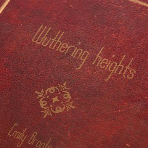  WUTHERING HEIGHTS KİTAP KUTU 19X8X27CM