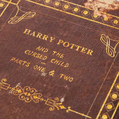  HARRY POTTER KİTAP KUTU 19X8X27CM