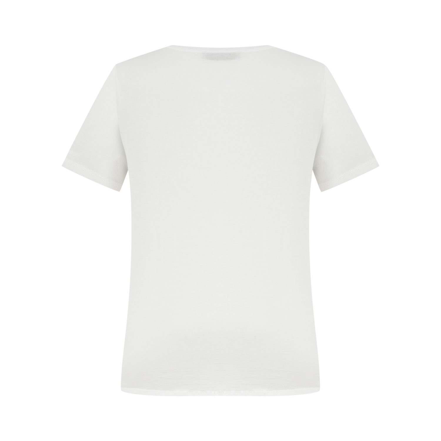 KAPLUMBAĞA DESENLİ BİSİKLET YAKA T-SHIRT