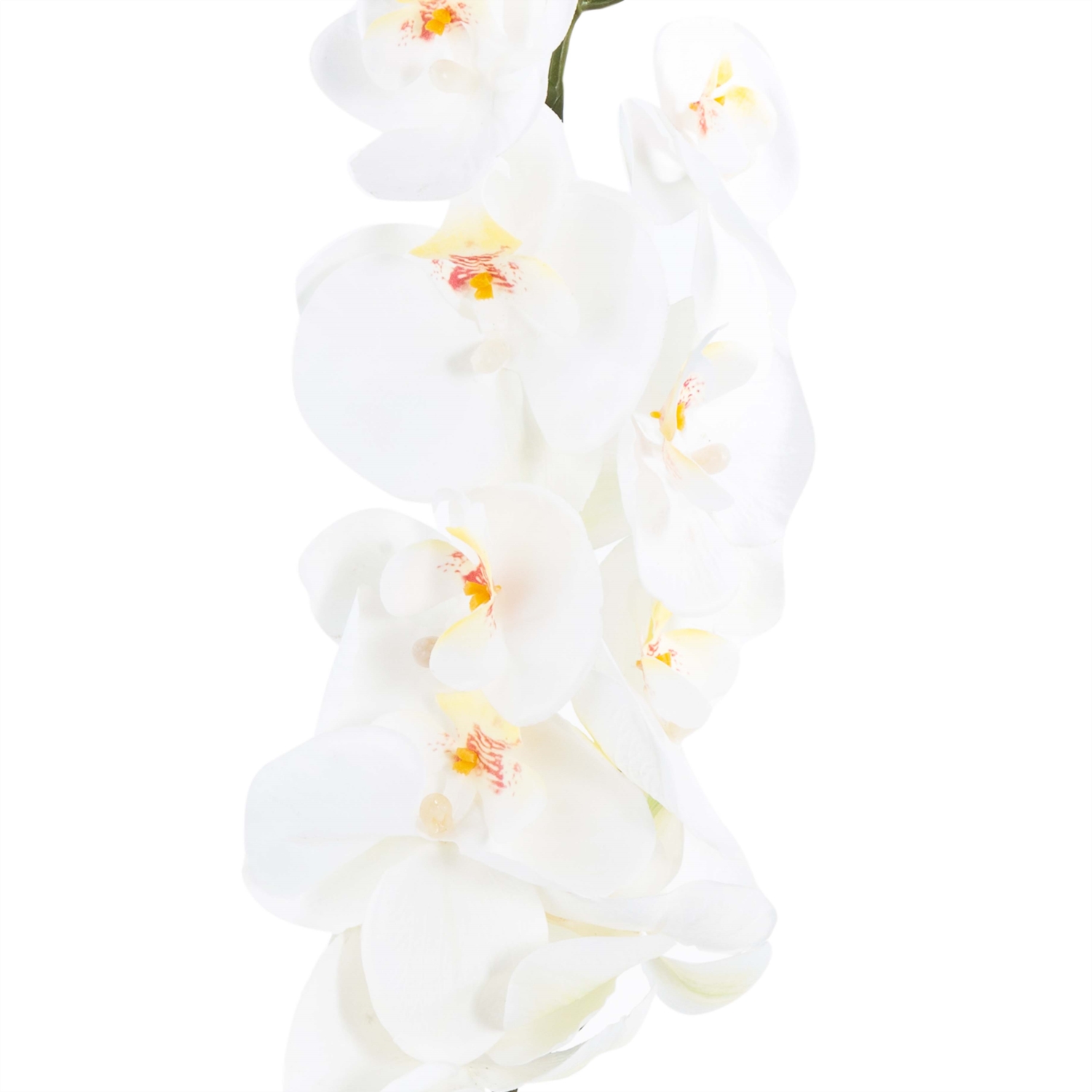 VIVIAN TEK DAL ORKİDE 13X10X96CM