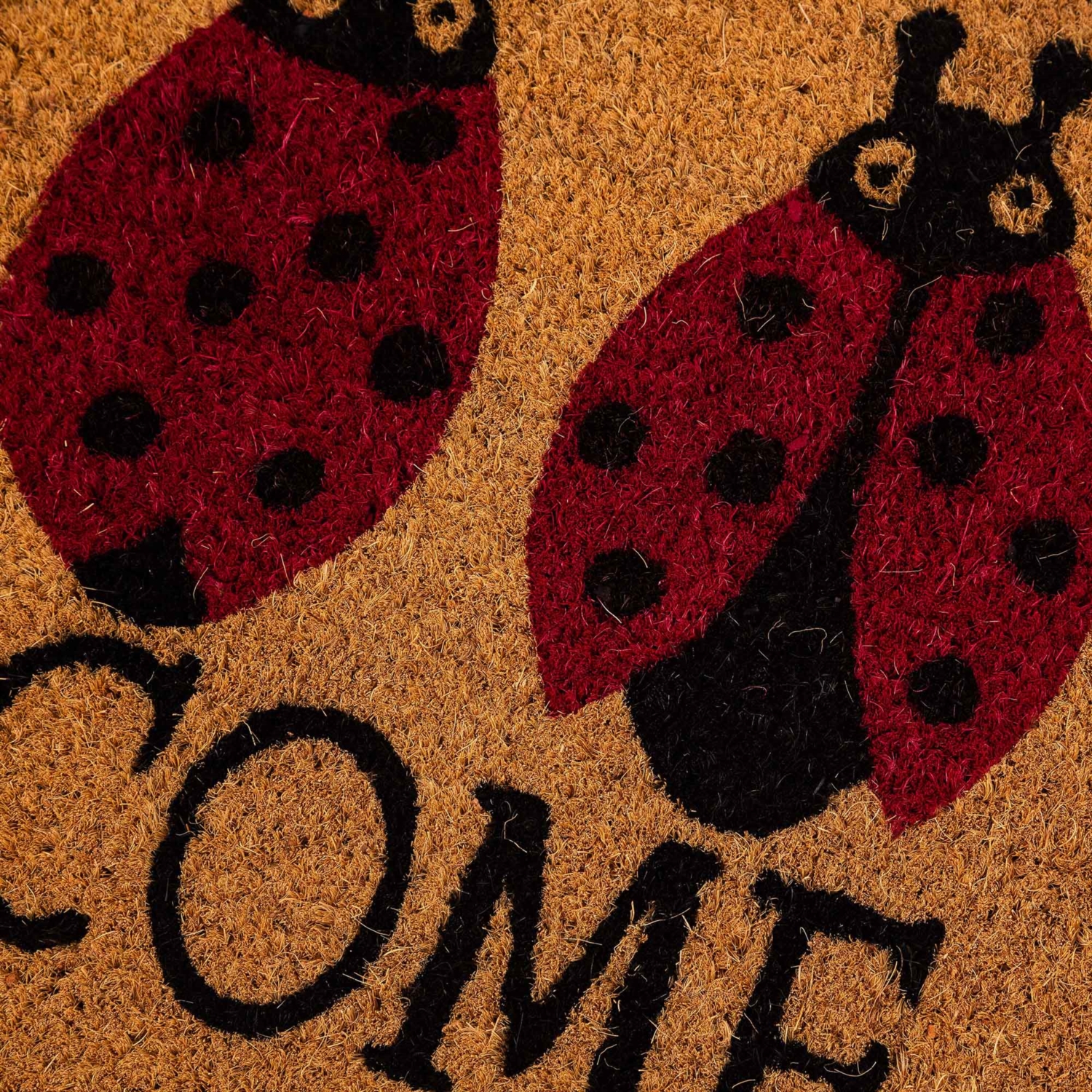 LADYBIRD WELCOME KAPI ÖNÜ PASPASI 40X60CM