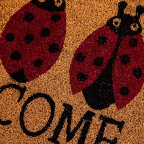  LADYBIRD WELCOME KAPI ÖNÜ PASPASI 40X60CM