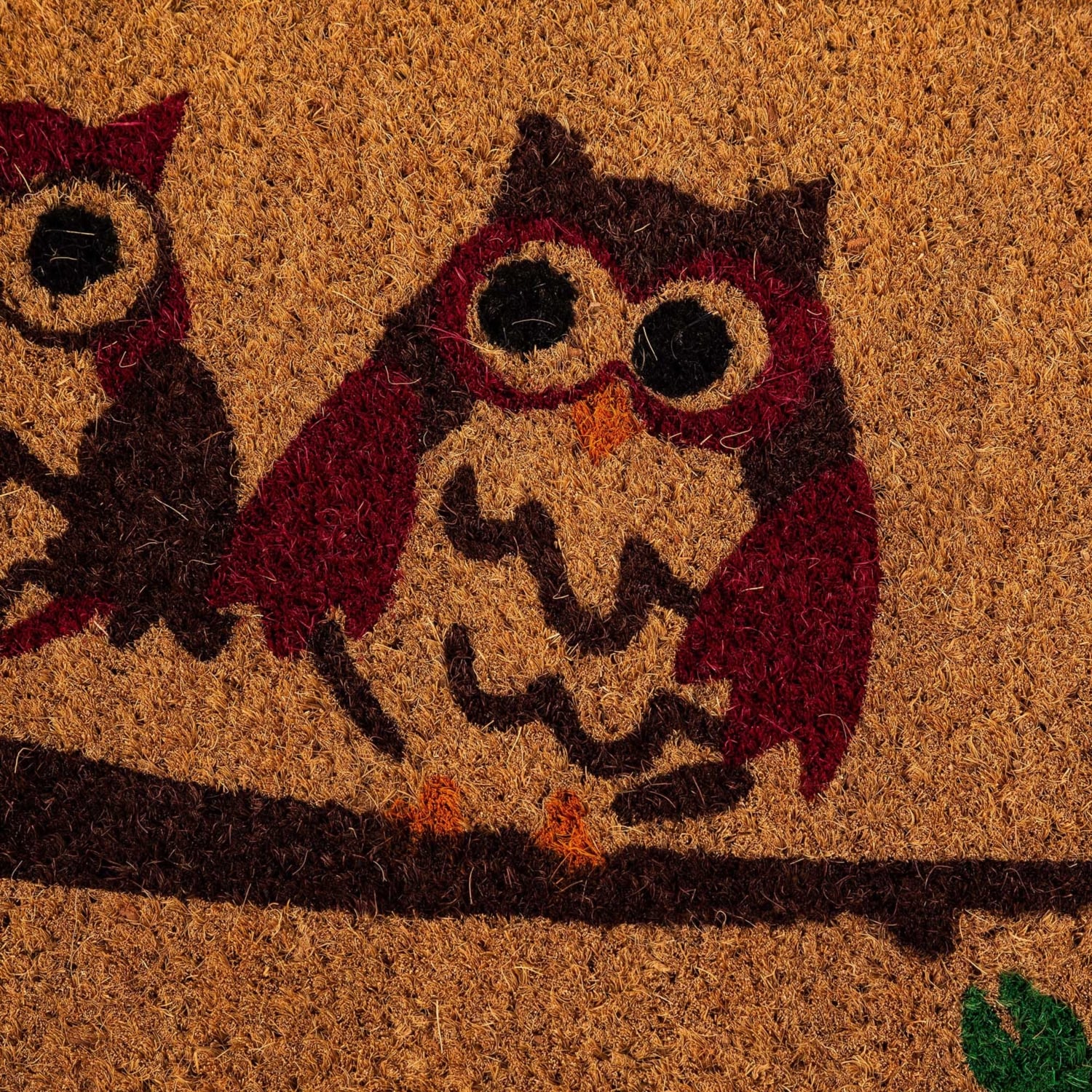 OWL KOKO KAPI ÖNÜ PASPASI 40X60CM