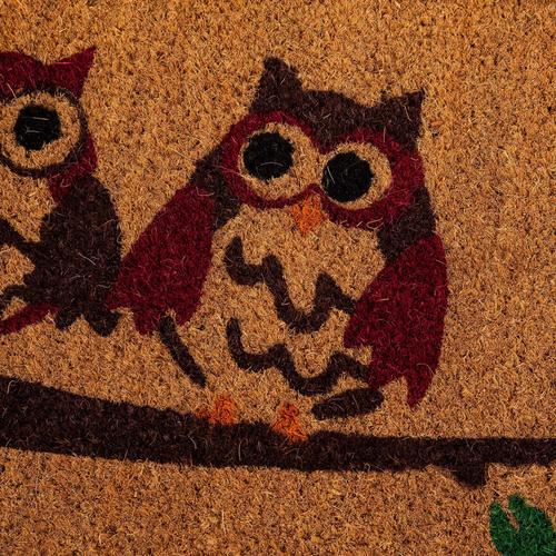  OWL KOKO KAPI ÖNÜ PASPASI 40X60CM