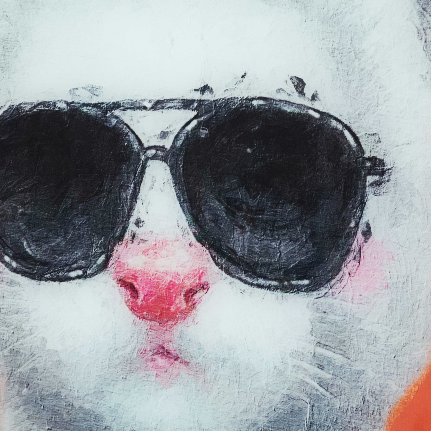 BOSS CAT ÇERÇEVELİ CAM BASKI PANO 60X90CM