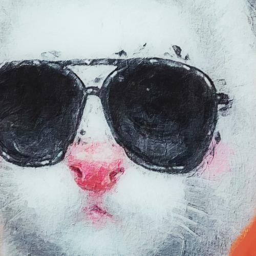  BOSS CAT ÇERÇEVELİ CAM BASKI PANO 60X90CM