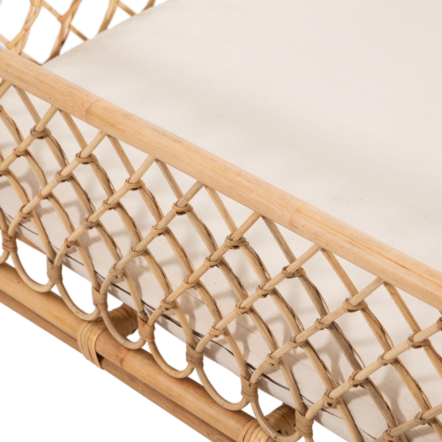 TAFT KÖPEK KOLTUĞU