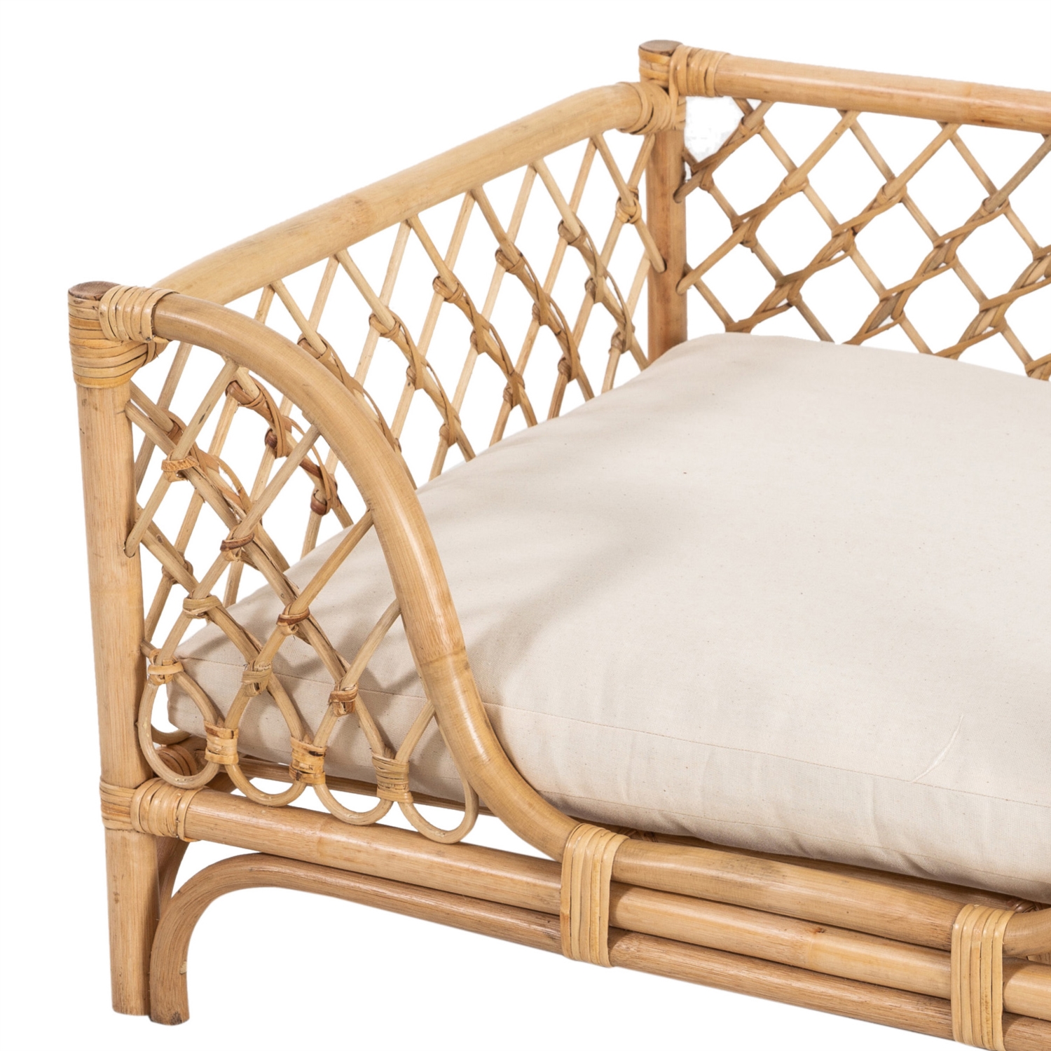 TAFT KÖPEK KOLTUĞU