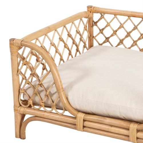  TAFT KÖPEK KOLTUĞU