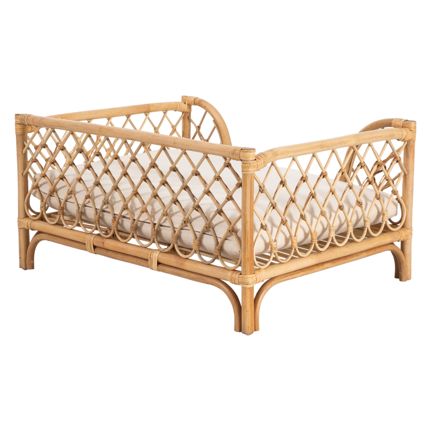 TAFT KÖPEK KOLTUĞU