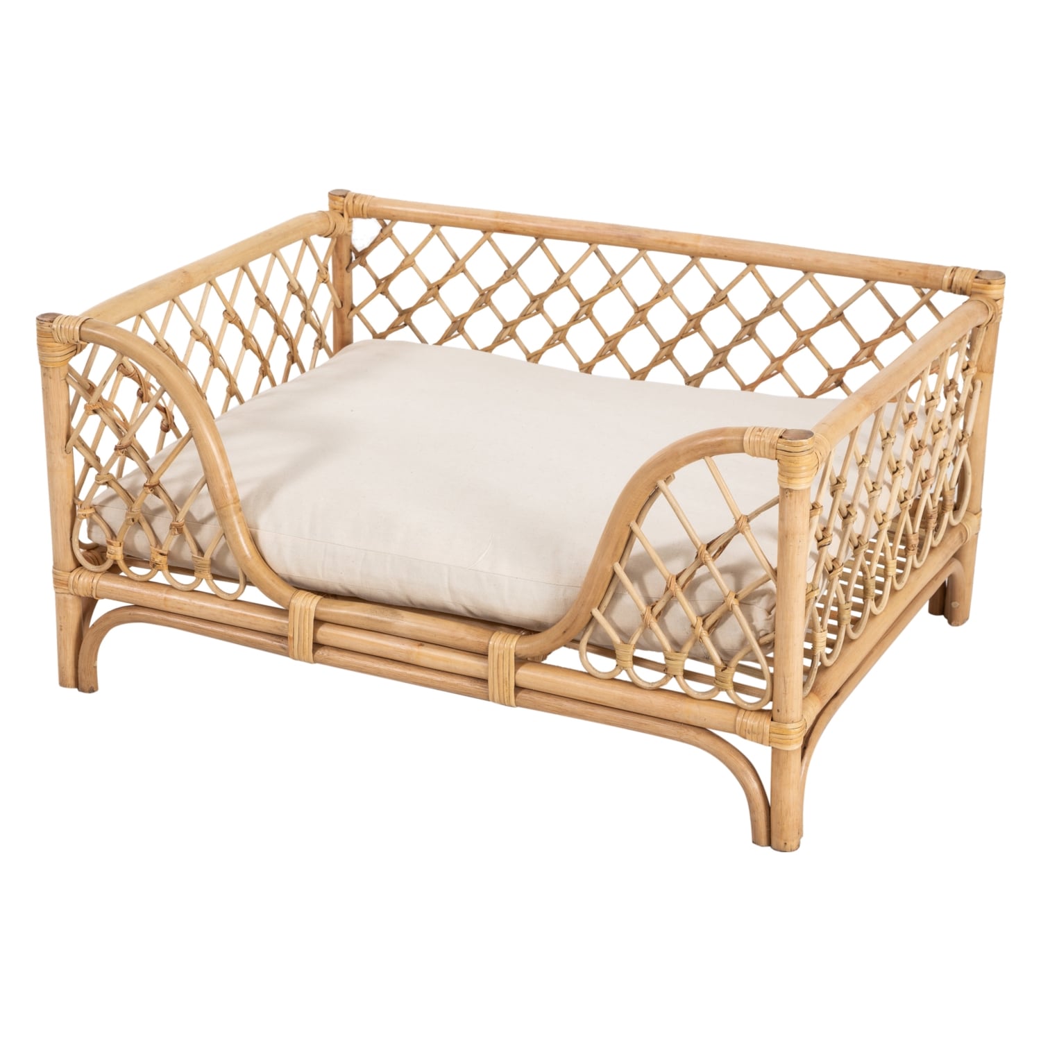 TAFT KÖPEK KOLTUĞU